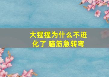 大猩猩为什么不进化了 脑筋急转弯